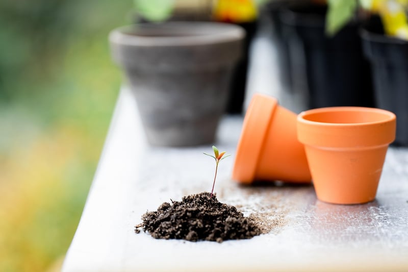 Urban Gardening